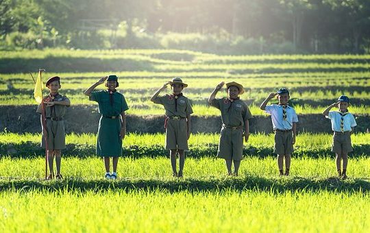 Camp scout
